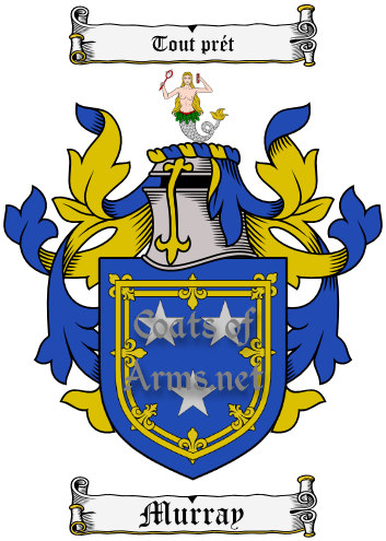 Murray (Scottish) Ancient Coat of Arms (Family Crest) Image Download