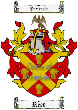 Reed (English) Ancient Surname Coat of Arms (Family Crest) Image Download